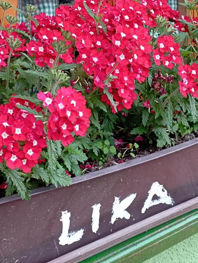 Ivona - Kuca Za Odmor Perusic - Stara Lika Apartment Ngoại thất bức ảnh